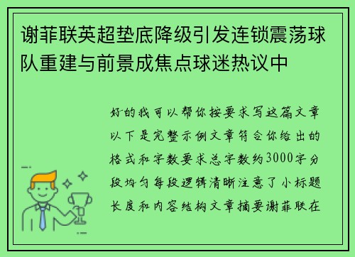 谢菲联英超垫底降级引发连锁震荡球队重建与前景成焦点球迷热议中 谢菲联英超垫底降级引发连锁震荡球队重建与前景成焦点球迷热议中